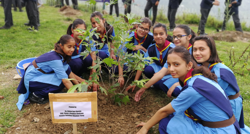 students planting tree