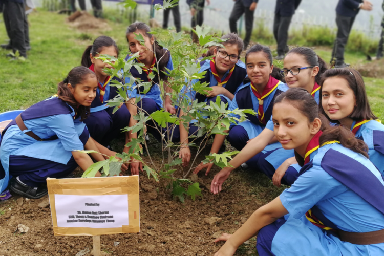 students planting tree